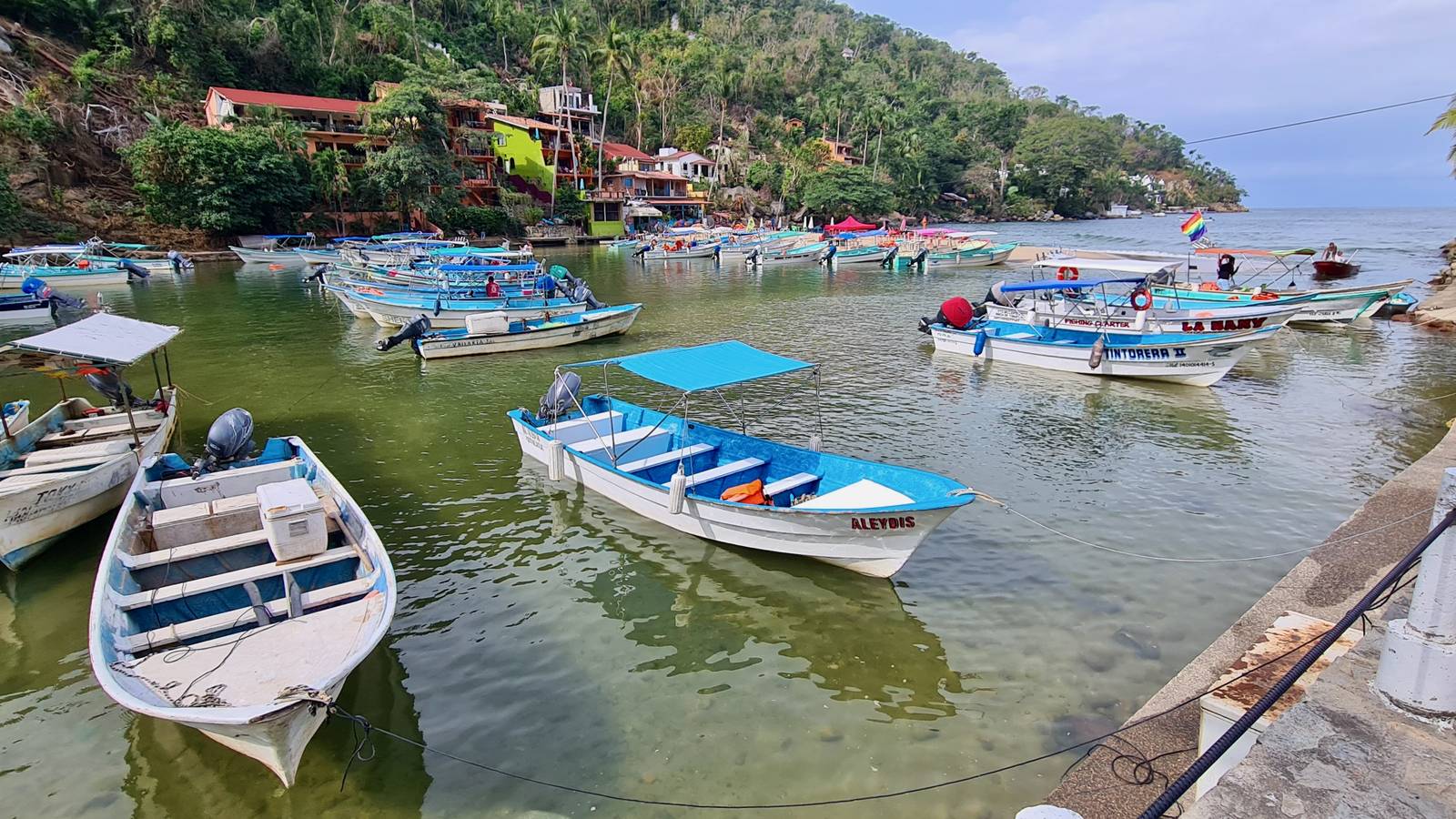 Water taxis and fishing pangas moored at Boca de Tomatlán