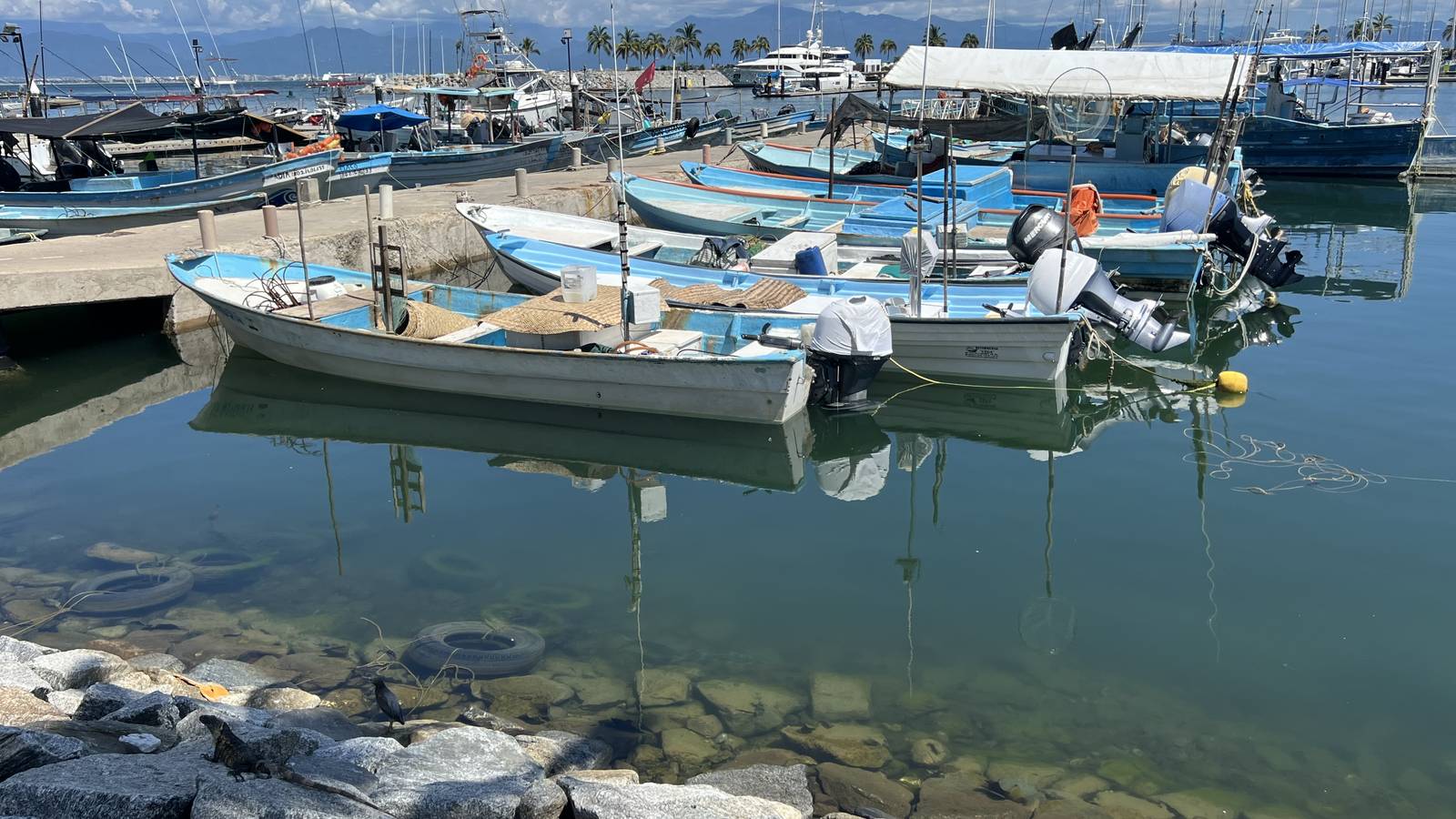 Fishing pangas moored in the marina at La Cruz de Huanacaxtle, with yachts and mountains behind