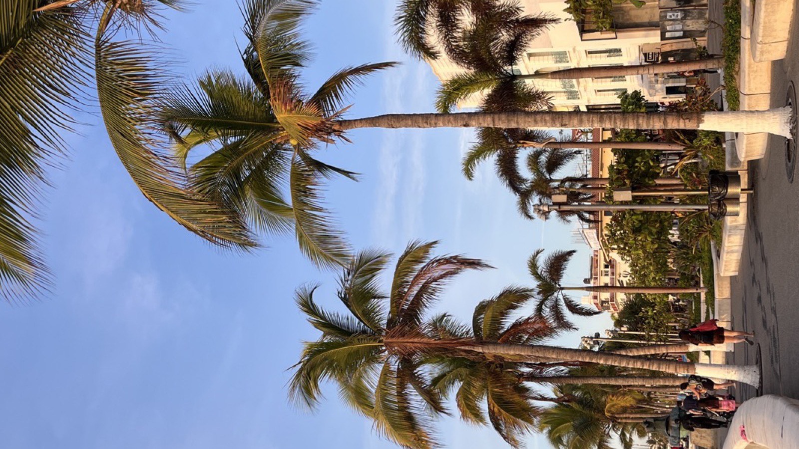 Malecon, Puerto Vallarta